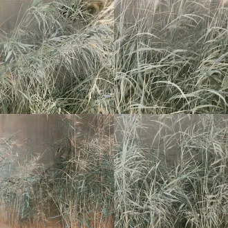 国展现代工笔重彩花鸟，方形构图，荒原芦草，细密交错长草线条，浅绿灰蓝赭褐低饱和配色，厚积矿物色，浮雕肌理，草叶缠绕叠加，灰褐色背景，抽象构成，芦苇湿地，当代实验工笔，绢本矿物颜料，平光，无强烈明暗，国展国画风格，无油画厚涂，