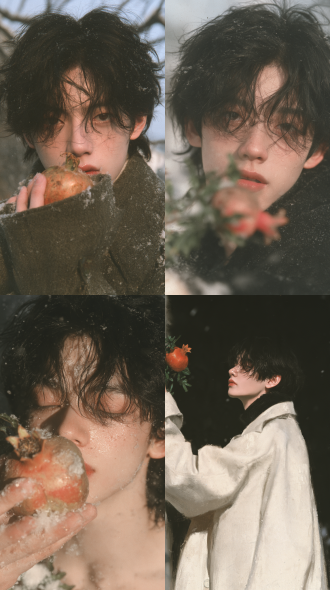 handsome chinese youth, full-body portrait, first love, winter, korean style，东方审美，石榴花
