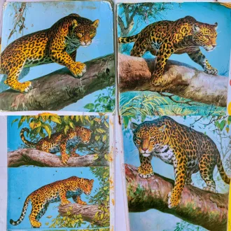 请画一幅豹子在横向树干上爬行，类似宫崎骏绘画风格，构图完全依据参考图，只用出一幅画