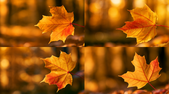 macro nature photography, sharp focus on a single golden yellow maple leaf with orange-red gradient on partial leaf edge, distinct bright red leaf veins, maple leaf located on the right side of the frame, large blank negative space on the left, extremely blurred warm yellow autumn forest bokeh background, soft golden hour sunlight, ultra shallow depth of field, warm yellow-orange autumn tone, translucent soft light, high detail realistic, peaceful autumn atmosphere