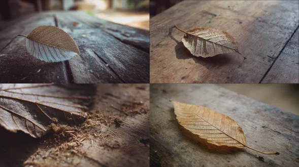 一片干燥的叶子静置于粗糙的木桌上，可见木纹纤维，布满细微颗粒的灰尘表面，叶子边缘磨损，整体哑光质感，柔和的自然晨光，浅景深，有机静物，35mm镜头，f/2.8