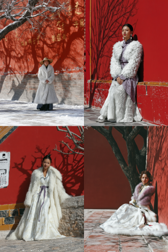 夕阳下，雪花纷飞，一位中国古装绝美女子穿着毛茸茸的白色斗篷披风站在墙前感受冬天的雪景，披风边缘有淡紫色绒毛，身后有一树腊梅，红墙金色琉璃瓦，墙上留下树影，旁边有一口古老的水井，井壁雕刻着“龍井”二字，冷暖色强烈对比，高贵华丽，高清摄影风格，写实照片。