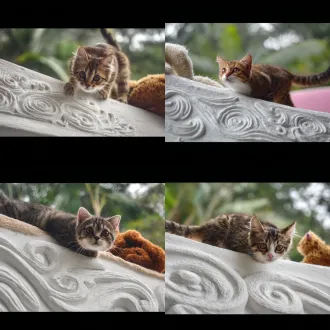 "可爱的小猫，圆润的大眼睛，毛茸茸的毛发，柔和光线，浅景深，温暖色调，室内，舒适的毯子，自然光，特写镜头，慵懒的姿态，粉色鼻头，微微歪头，好奇表情，毛绒玩具，虚化背景，高清晰度，柔焦效果，温馨氛围。"