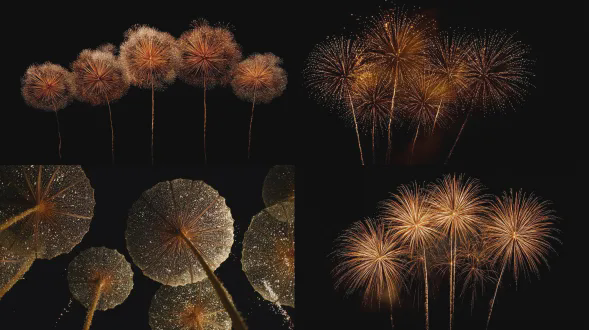 仰视，夜晚，空中有四五朵金色荷花形状的焰火，从近到远，有层次，金色粒子从中间流下形成长长的茎秆，半透明，大师构图