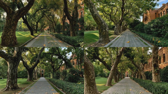 全景:初秋，中国大学校园内林荫步道，两侧高大法国梧桐树冠交错形成天然拱廊，树龄约30年树干粗壮树皮斑驳有纵裂纹。地面铺设浅灰色透水砖，砖缝间有青苔痕迹，路面散落几片枯黄落叶。步道宽约4米，蜿蜒延伸约50米至远处红色砖墙教学楼。右侧是修剪整齐的冬青灌木带，左侧是开阔草坪，草色翠绿有自然起伏。阳光从树叶间隙洒下形成斑驳光斑，整体呈暖金色调。天空湛蓝有薄云。空气中有细微的丁达尔光效。整体色调温暖柔光，标准焦距一点透视无畸变；无人物无动物无多余杂物