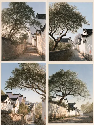 a traditional chinese ink wash painting combined with woodblock print style, inspired by li pingfan. the scene depicts a quiet ancient village alleyway with white walls and black tiled roofs (hui-style architecture). in the foreground, a large tree with lush foliage and subtle pink blossoms overhangs a stone wall, rendered with loose, expressive brushstrokes and woodcut textures. a winding stone path leads into the distance. soft, muted colors: pale purple, moss green, and ochre against stark black and white ink. textured rice paper background, visible brush marks, artistic negative space, serene rural atmosphere, high quality, masterpiece.