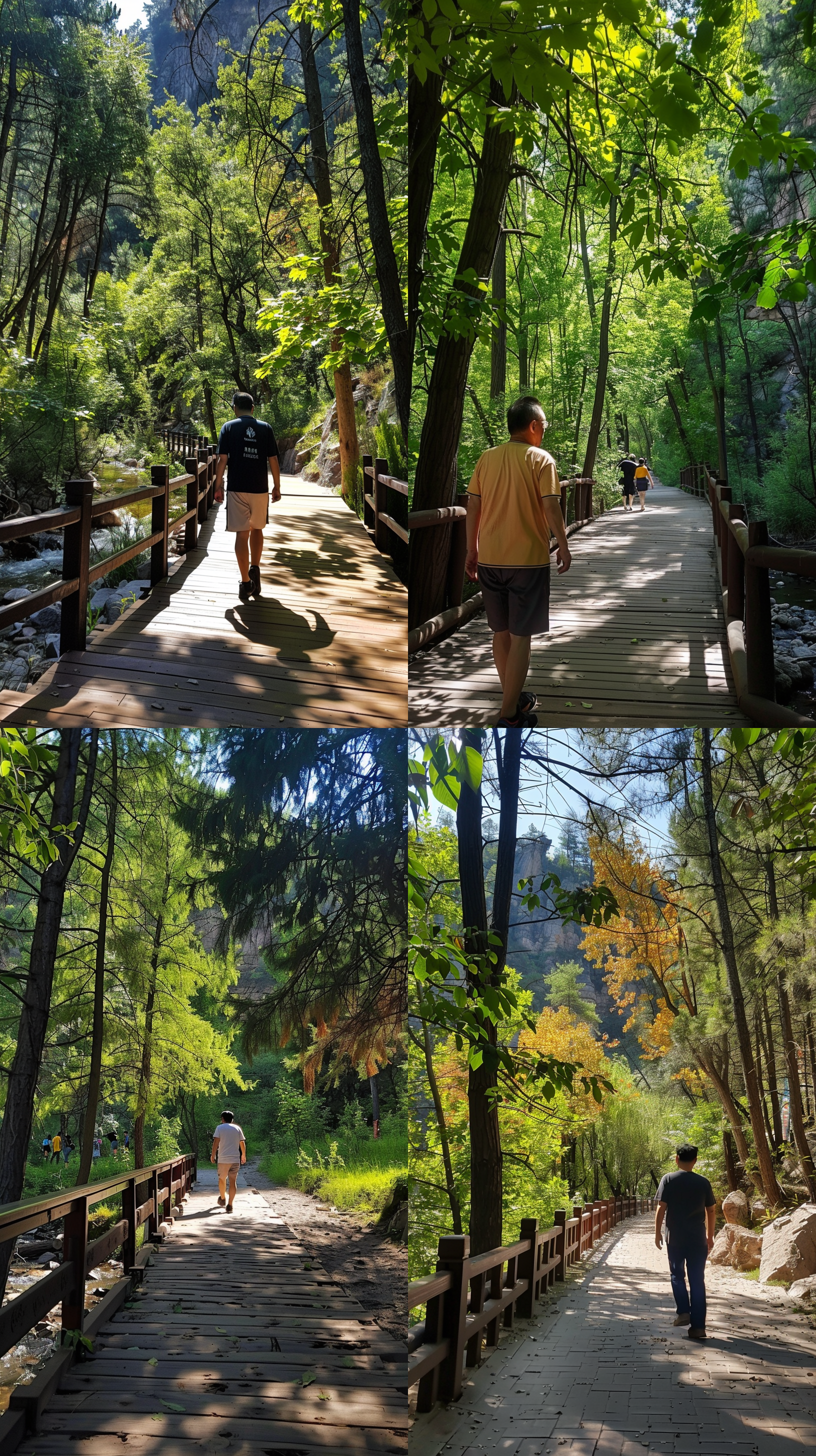 男人漫步在林间小路，自然风光，沿对角线构图，柔和光线，背影，绿色调，长焦镜头，慢速快门，放松，思考。 摄影纪实 充满阳光 全身 太阳光 t恤衫 开心