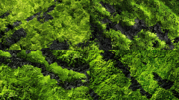 苔藓，苔藓堆，块状，高低起伏，辽阔的草原牧场，一大片绿草皮，密集的草，漏出一部分黑土地，黑色的土壤，土地颗粒感，黑色土地，整体画面色彩艳丽，超高清，摄影作品，超精致细节，32k