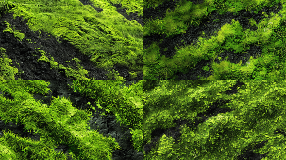 草地，苔藓堆，块状，高低起伏错落，山丘，密集的草，辽阔的草原牧场，一大片绿草皮，漏出一部分黑土地，黑色的土壤，土地颗粒感质感，黑色土地，高清摄影 自然风光，高清晰度，自然光，静态，宁静，整体画面色彩艳丽，超高清，摄影作品，超精致细节，32k