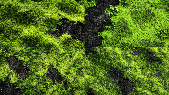 草地，苔藓堆，块状，高低起伏错落，山丘，密集的草，辽阔的草原牧场，一大片绿草皮，漏出一部分黑土地，黑色的土壤，土地颗粒感质感，黑色土地，高清摄影 自然风光，高清晰度，自然光，静态，宁静，整体画面色彩艳丽，超高清，摄影作品，超精致细节，32k