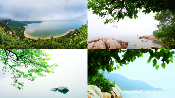郭帆风格，高质量，崂山海边，初夏雨后傍晚，周围是郁郁葱葱的绿叶，衬托着色彩被白色雾气笼罩，海水水清澈如镜，带来一种安详的气氛，远景，广角，真实风景拍摄，宁静致远，唯美意境，高清画质