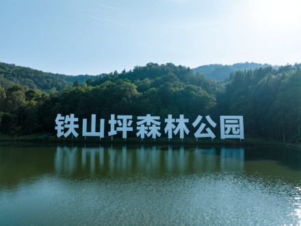 重庆市铁山坪森林公园全景，“铁山坪森林公园”文字展示，三分法构图，森林湖泊，全景镜头，顶光，冷色调，大气开阔。 