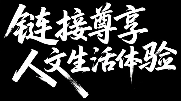 “链接尊享人文生活体验”，黑底白字，秀丽笔书法，笔画紧凑有力，转折干脆利落，顿笔锋锐，自然飞白，笔画交错穿插，街头潮流自由形态，细节丰富，字形舒展有韵律，潇洒飘逸刚劲有力，黑色背景，高对比度，极简构图，艺术字体，现代感，书法美学，视觉冲击力。